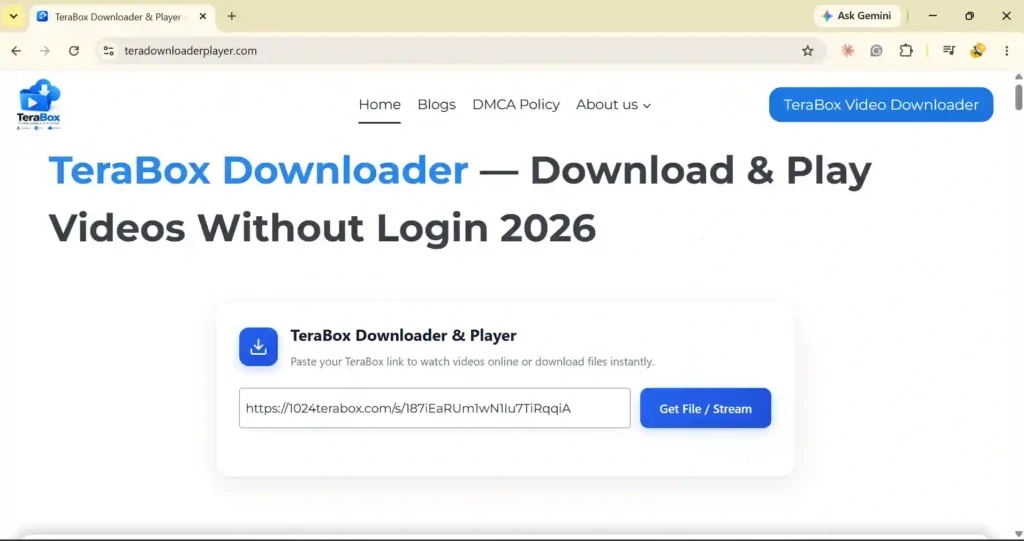 TeraBox Downloader and Player website interface